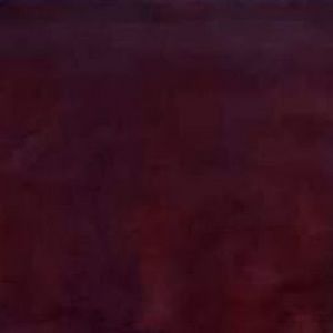 Meet your Posher, Fiona